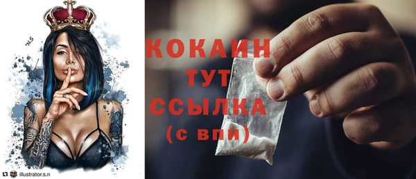 твердый Алексеевка