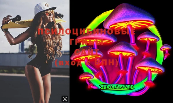 твердый Алексеевка